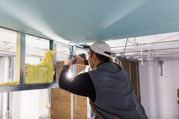 Best Blown-in Insulation  in Mccormick, SC