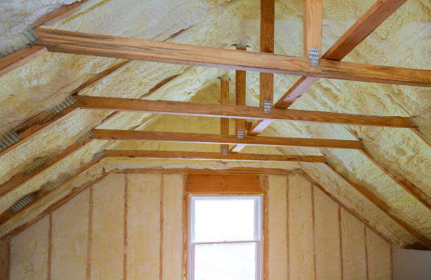 Insulation Repair Services in Mccormick, SC